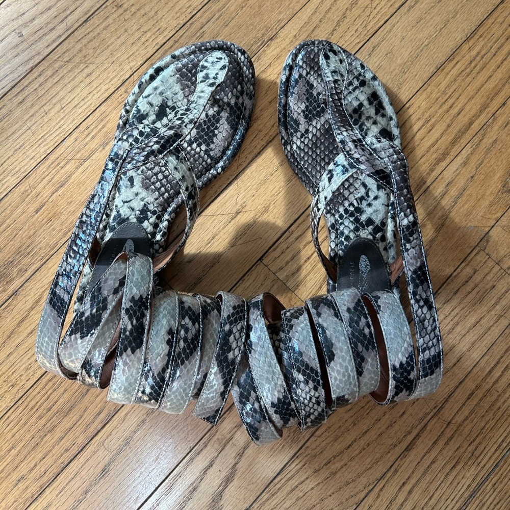 Jeffrey Campbell gladiator sandal